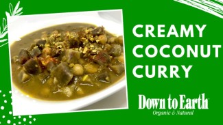 Creamy Coconut Curry