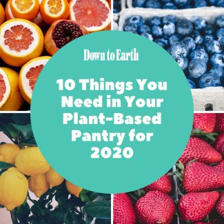 10 Things You Need in Your Plant-Based Pantry for 2020