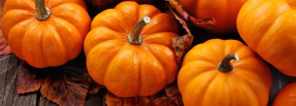 Photo: Pumpkins