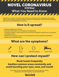 Novel Coronavirus (COVID 19): What You Need to Know