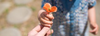 Photo: Child giving parent a flower