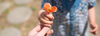 Photo: Child giving parent a flower