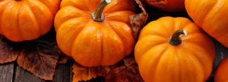 Photo: Fall Pumpkins