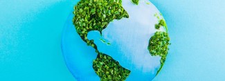 Photo Illustration: Earth with continents of fresh green sprouts