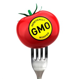 GMO: Genetically Modified