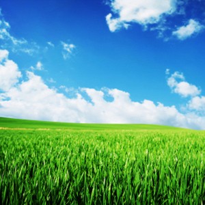 Photo: Green Fields
