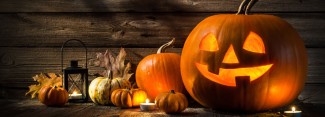Photo: Halloween Decorations with Pumpkins and a Jack-o'-lantern