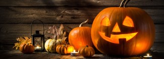 Photo: Halloween Decorations with Pumpkins and a Jack-o'-lantern