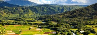 Photo: Hawaii Farms