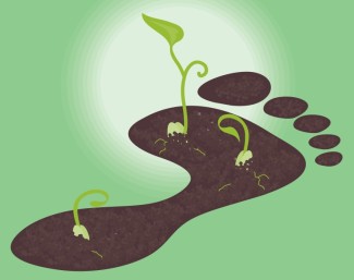 Illustration: Carbon Footprint with Seedlings