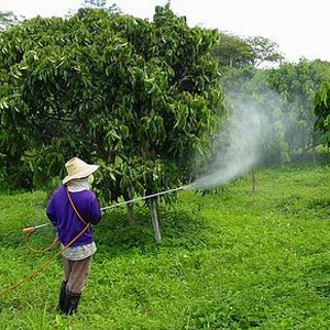 Photo: Farmer Spraying Pesticides