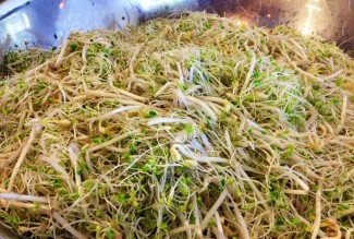 Photo: Sprout Salad