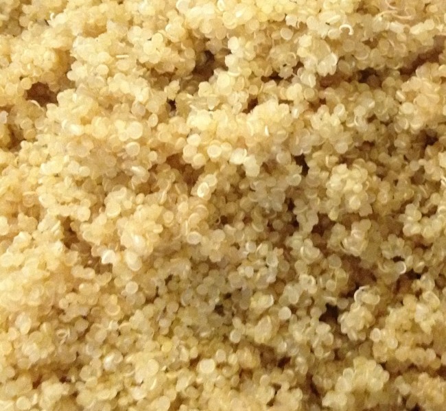 Photo: Sprouted Quinoa