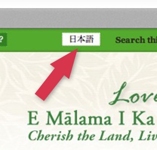 Screenshot Showing Japanese Button on the Down to Earth Home Page