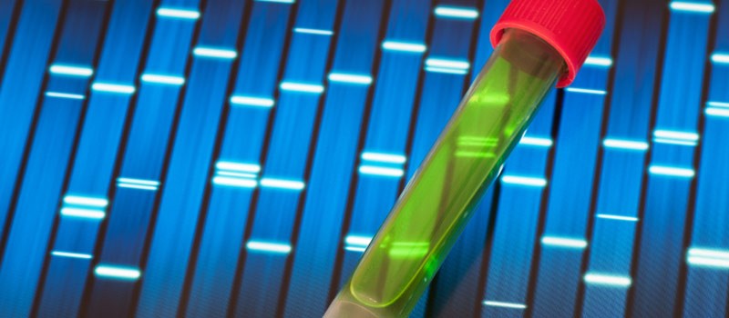 Photo Illustration: Genetic Engineering