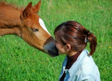 Photo: Foal with a Woman