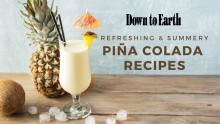 Refreshing Piña Colada Recipes for Summer