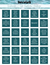 30 Day Chart of Sustainable Challenges