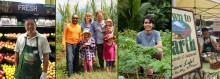 Photos: Down to Earth Staff and Local Farmers