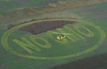 Photo: Farm Field with No-GMO
