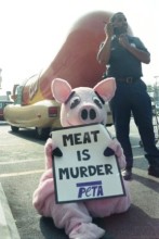 Photo: Person in a Pig Costume Holding a Meat is Murder Sign