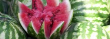 Photo: Fresh Cut Watermelon