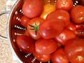 Photo: Tomatoes in a Strainer